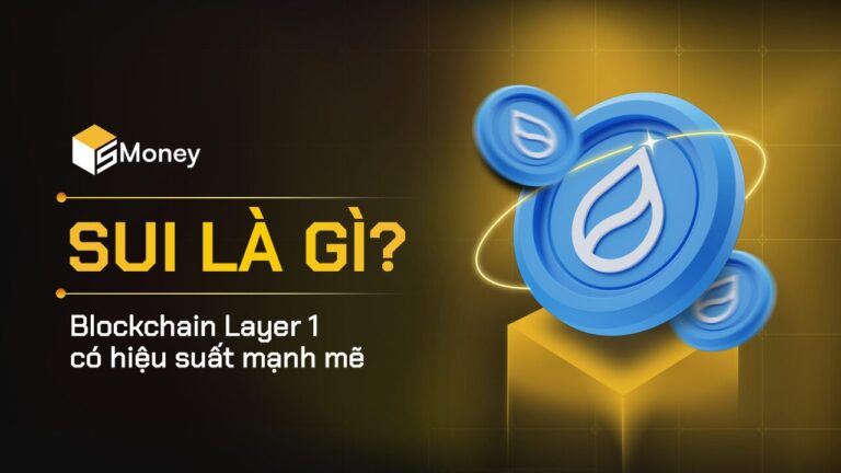 Sui là gì?