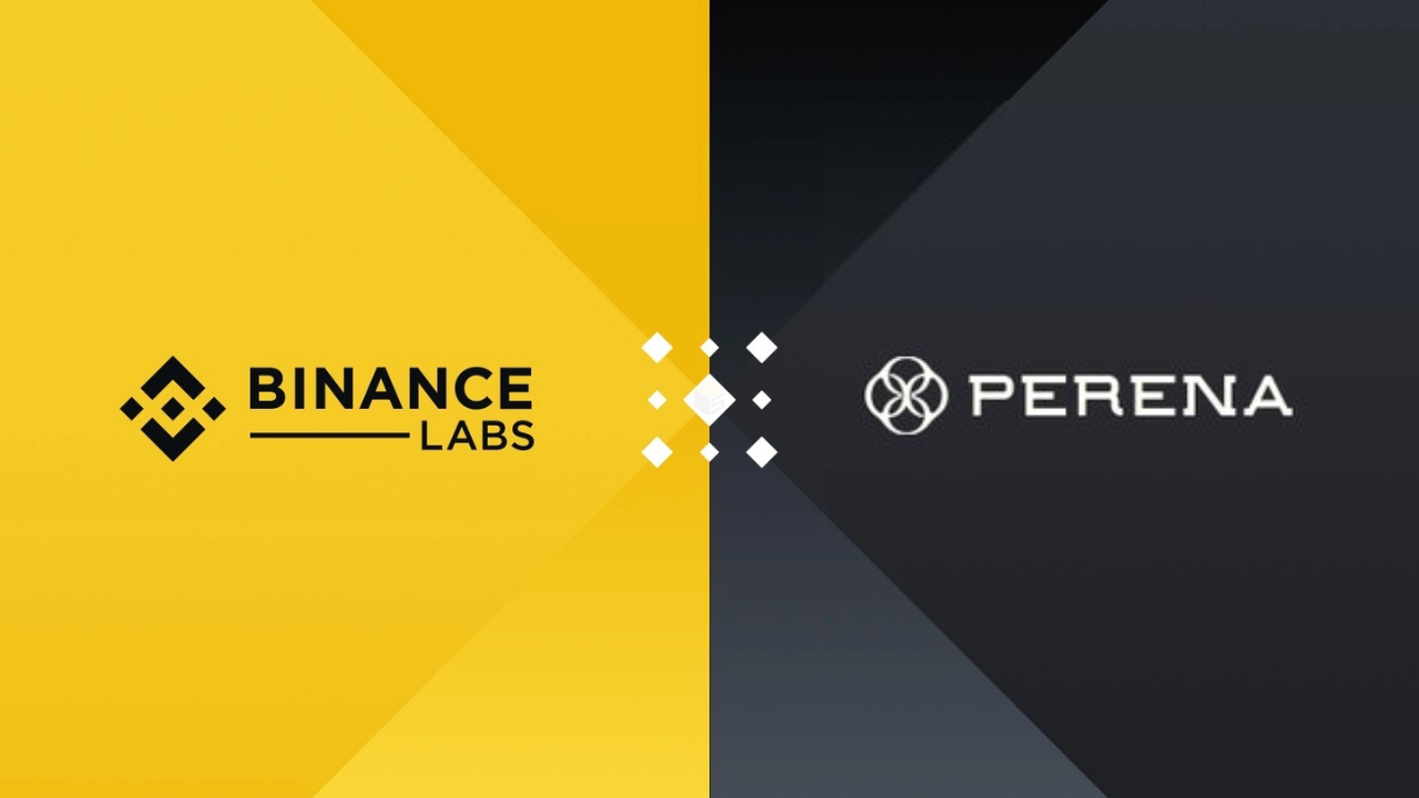 Binance Labs đầu tư vào Perena