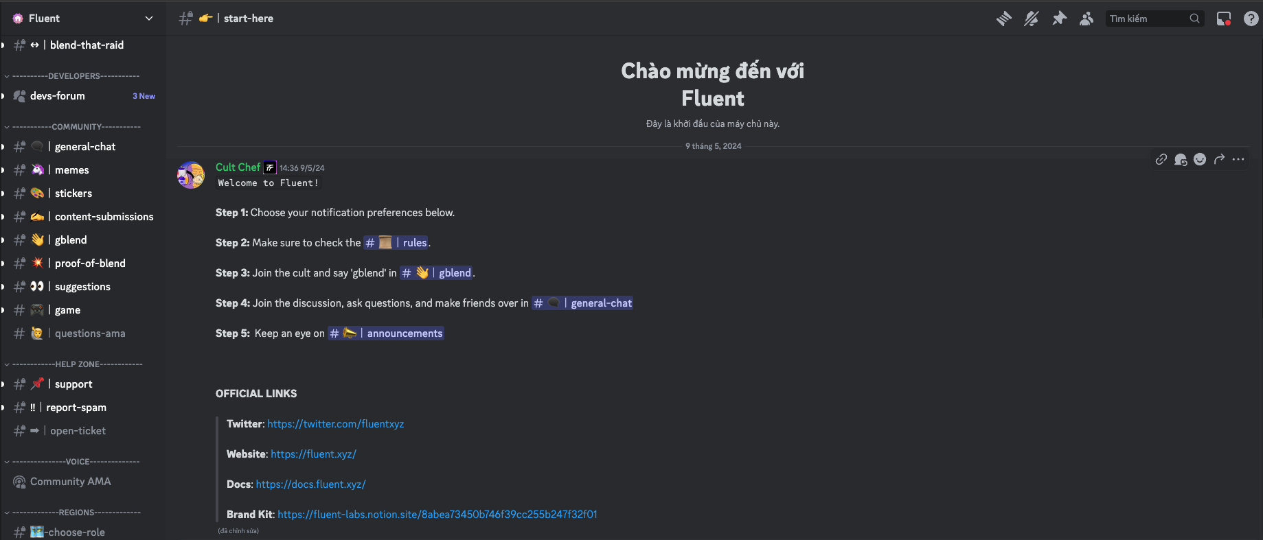 Tham gia tích cực trong Discord của dự án