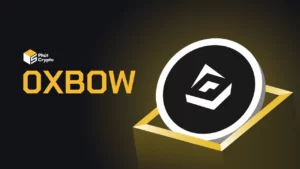 0xbow là gì