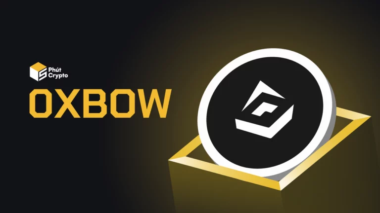 0xbow là gì